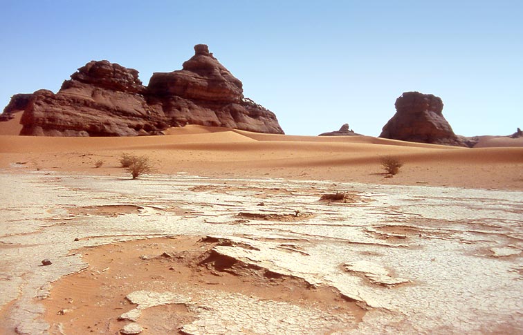 climate change desert