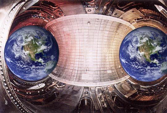 tokamak with multiple earths